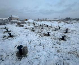 Дом из СИП панелей Петергофские Усадьбы 